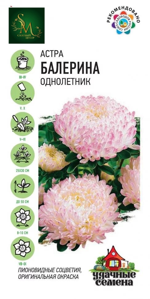 Астра Балерина Уд. сем. Гавриш