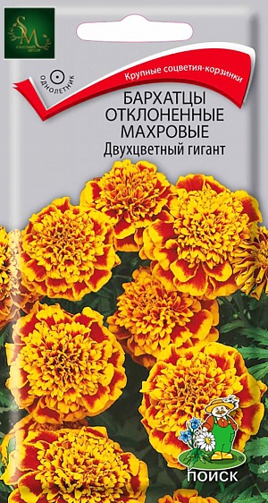 Бархатцы Двухцветный Гигант махр. Поиск