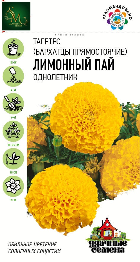 Бархатцы Лимонный пай Удач сем Гавриш