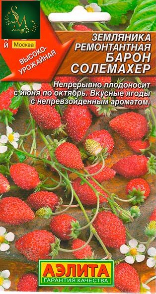Земляника Барон Солемахер ремонтантная Аэлита