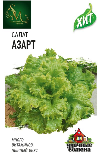 Салат Азарт Гавриш