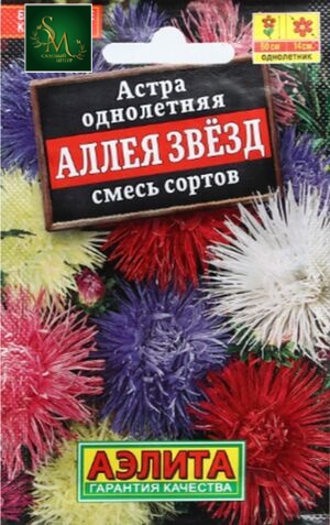 Астра Аллея звезд Лидер Аэлита