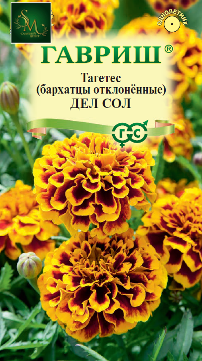 Бархатцы Дел Сол Гавриш