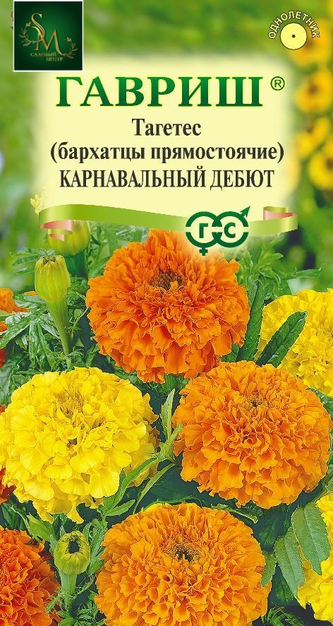 Бархатцы Карнавальный дебют Гавриш