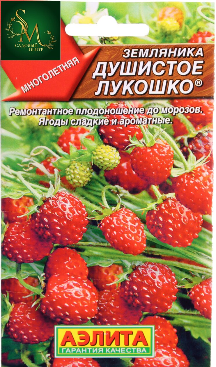 Земляника Душистое лукошко Аэлита