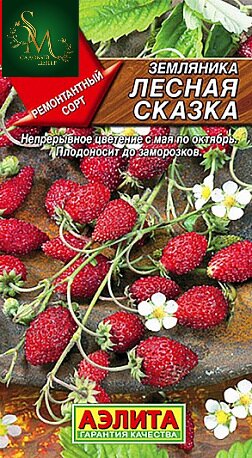 Земляника Лесная сказка Аэлита