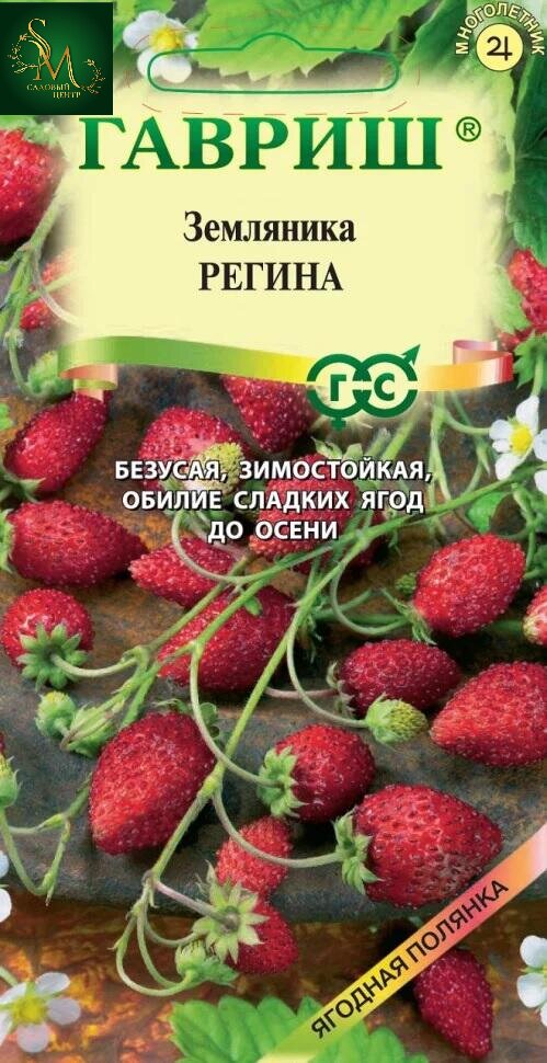 Земляника Регина Гавриш