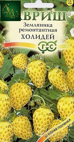 Земляника Холидей Гавриш