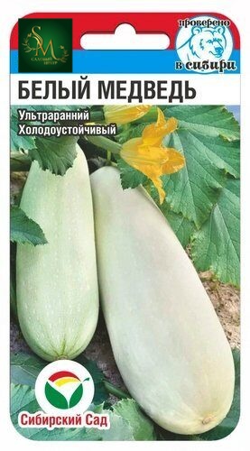 Кабачок Белый медведь СибСад