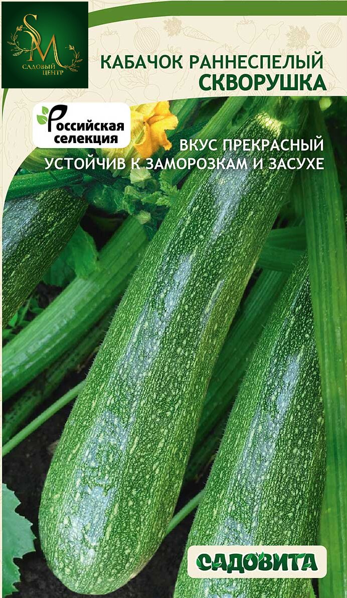 Кабачок Скворушка Садовита