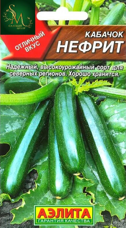 Кабачок Нефрит Аэлита