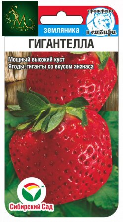 Клубника Гигантелла СибСад