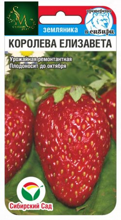 Клубника Королева Елизавета СибСад