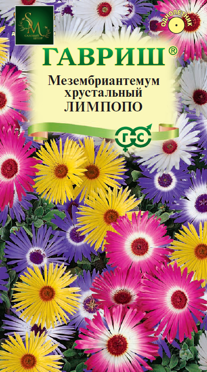 Мезембриантемум Лимпопо Гавриш