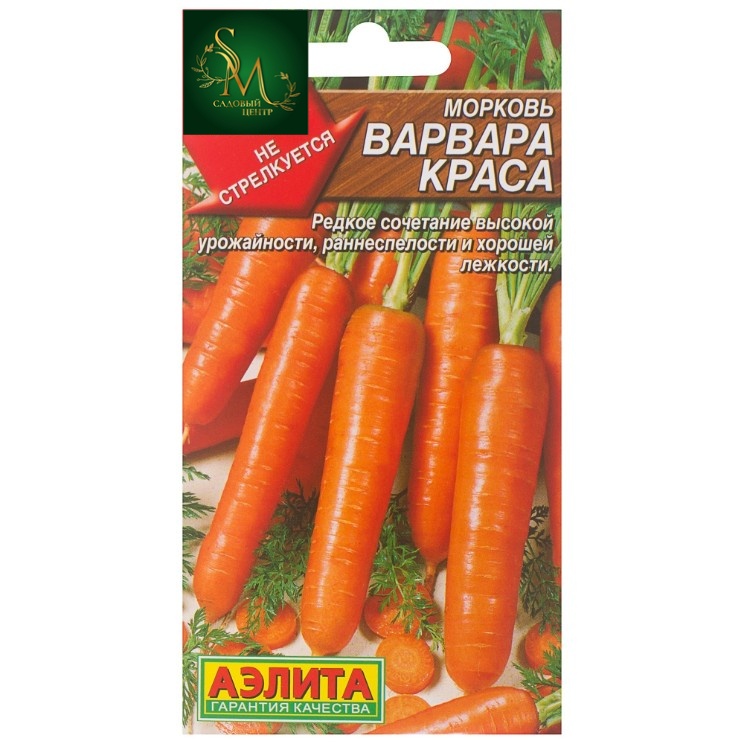 Морковь Варвара краса Аэлита