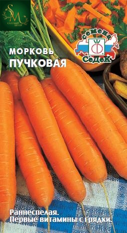 Морковь Пучковая Седек