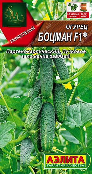 Огурец Боцман Аэлита