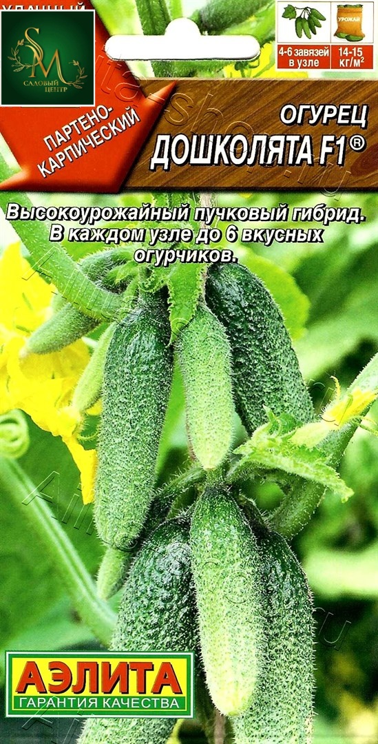 Огурец Дошколята Аэлита