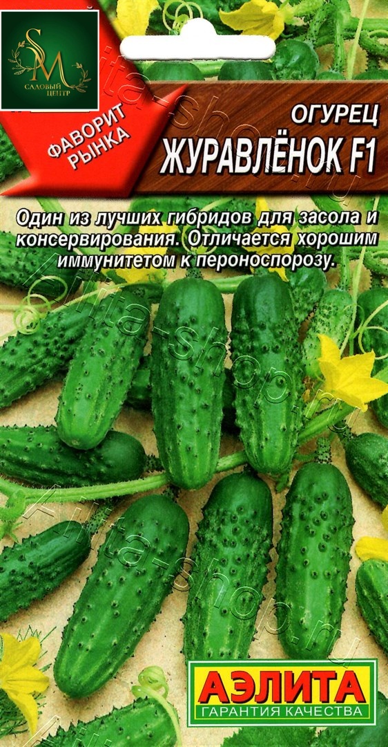 Огурец Журавленок Лидер Аэлита