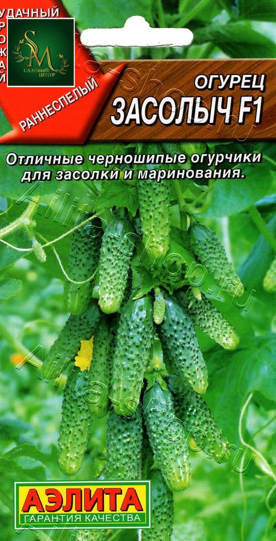 Огурец Засолыч Аэлита