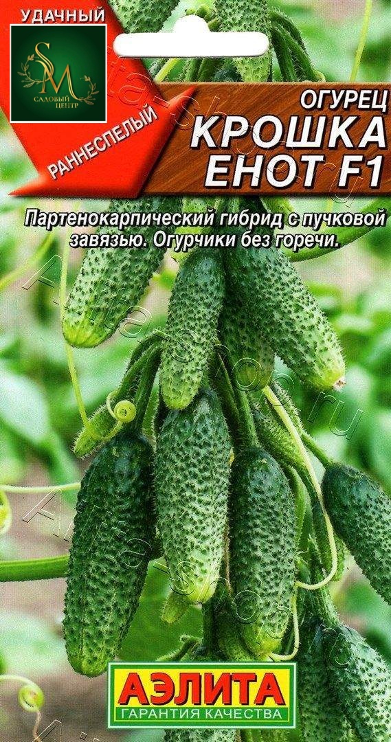 Огурец Крошка Енот Аэлита