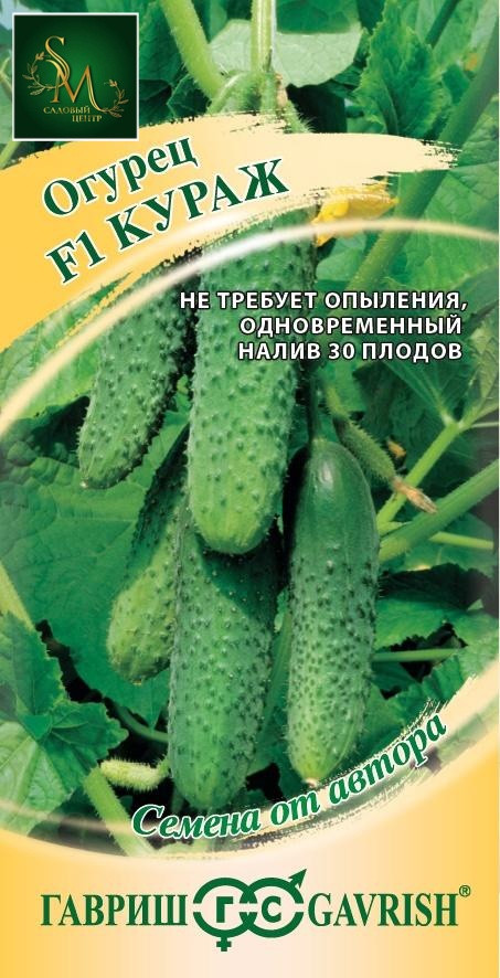 Огурец Кураж Гавриш