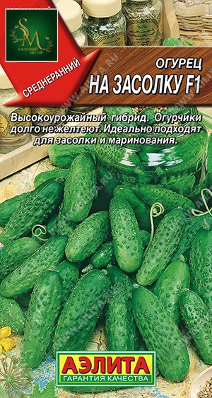 Огурец На засолку Аэлита