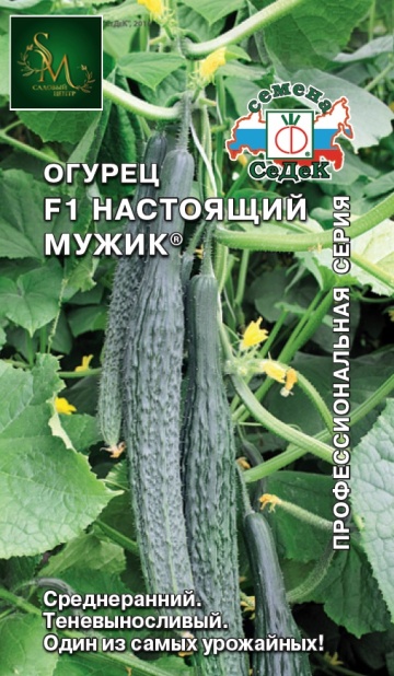 Огурец Настоящий Мужик Седек