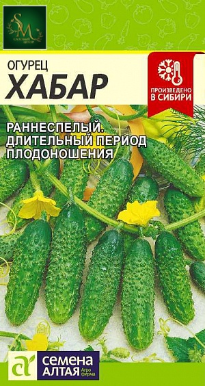 Огурец Хабар Семена Алтая