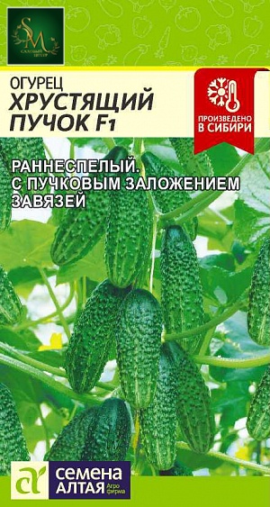 Огурец Хрустящий пучок Семена Алтая