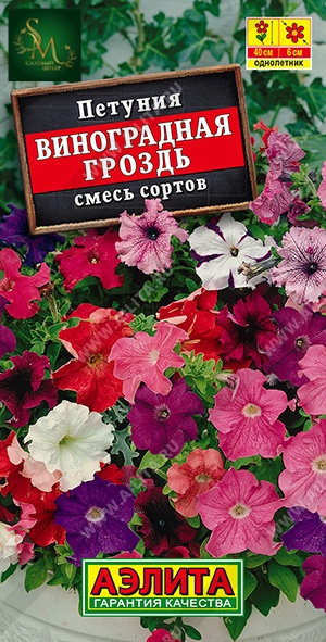 Петуния Виноградная гроздь Аэлита