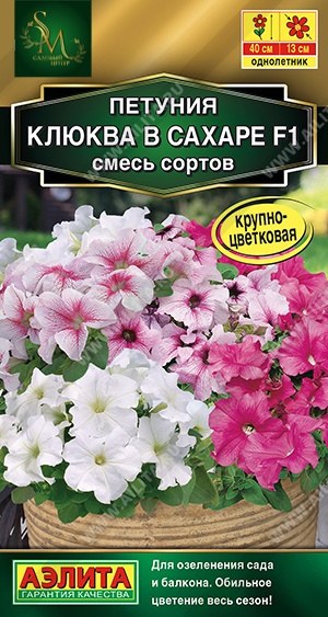 Петуния Клюква в сахаре Аэлита