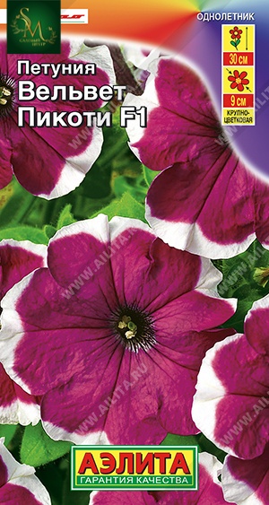 Петуния Пикоти Вельвет Аэлита
