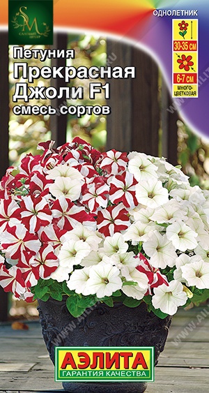 Петуния Прекрасная Джоли Аэлита