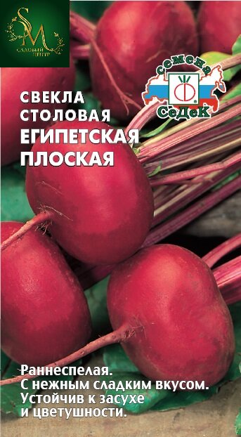 Свекла Египетская плоская Седек