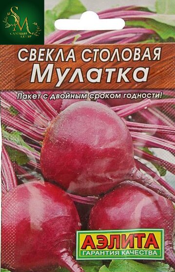 Свекла Мулатка Лидер Аэлита