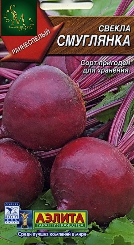 Свекла Смуглянка Аэлита