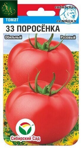 Томат 33 поросенка СибСад