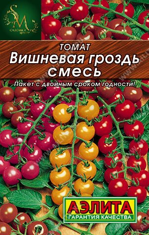 Томат Вишневая гроздь Лидер Аэлита