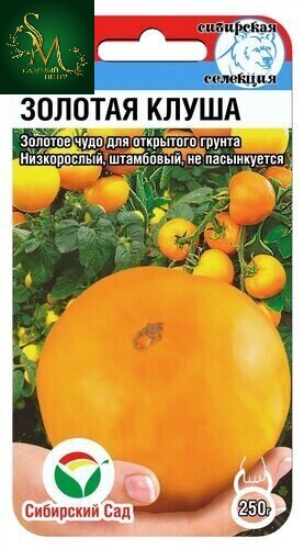 Томат Золотая клуша СибСад