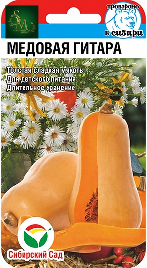 Тыква Медовая гитара СибСад